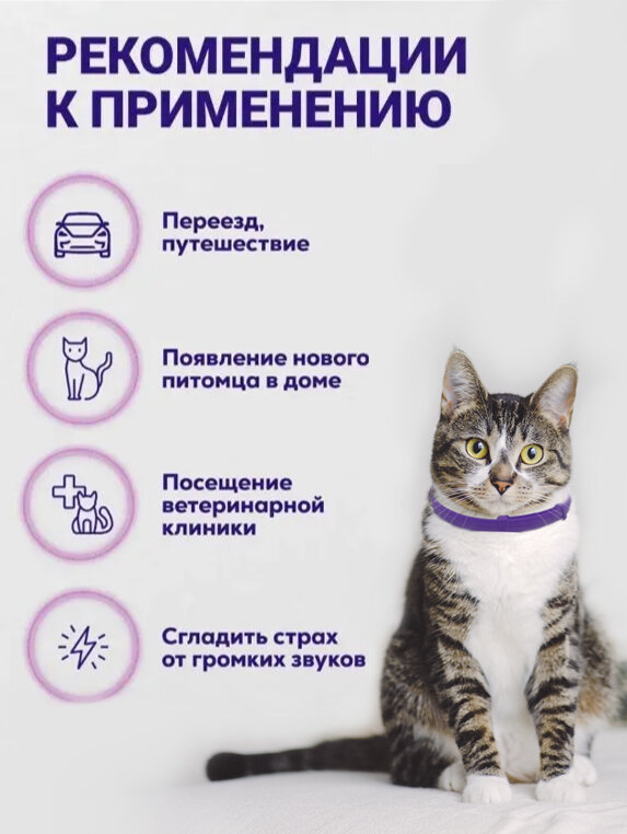 Ошейник для кошек SEISSO Calming Collar успокаивающий с феромонами 1 шт., фиолетовый - фотография № 3