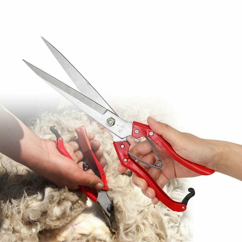 Ножницы для стрижки овец и других животных, 30 см - фотография № 2