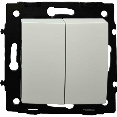 2 клавишный выключатель ECON Камелия 10А белый без рамки K002B