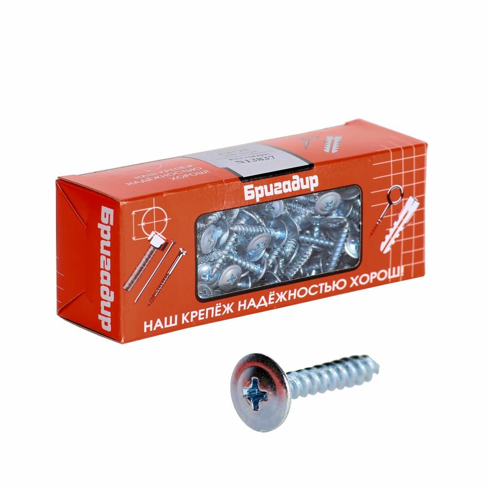 фото Бригадир Саморез 4,2*25, полусфера-прессшайба, коробка с окном (200 шт/20 шт/уп.)