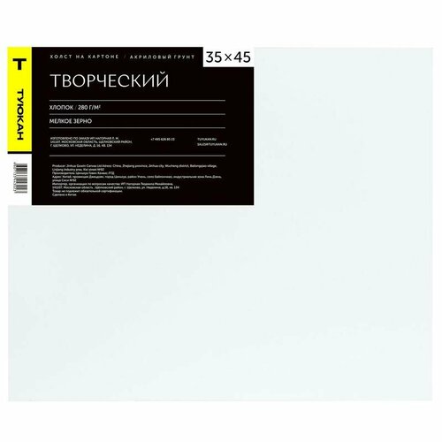 Холст на картоне Туюкан 35x45 см, 100% хлопок 280г/м2, мелкозерновой (00-00019445)