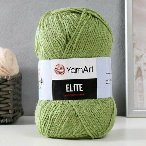 Пряжа Elite 100 акрил 300м100г 69 фисташка 777₽
