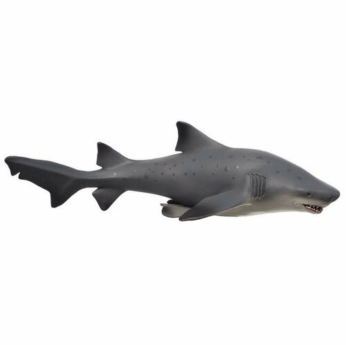 KONIK Обыкновенная песчаная акула, большая AMS3024