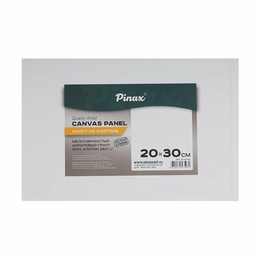 Холст картон, 20*30 см, 100% хлопок, 280 г/кв. м, грунтованный Pinax