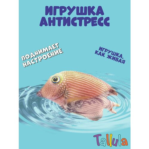 Игрушка мягконабивная Tallula рыба Коле Тан 23 см игрушка мягконабивная tallula бык 70 см