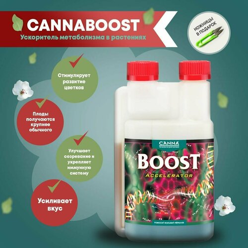 фото Canna cannaboost accelerator, 0.25 l
