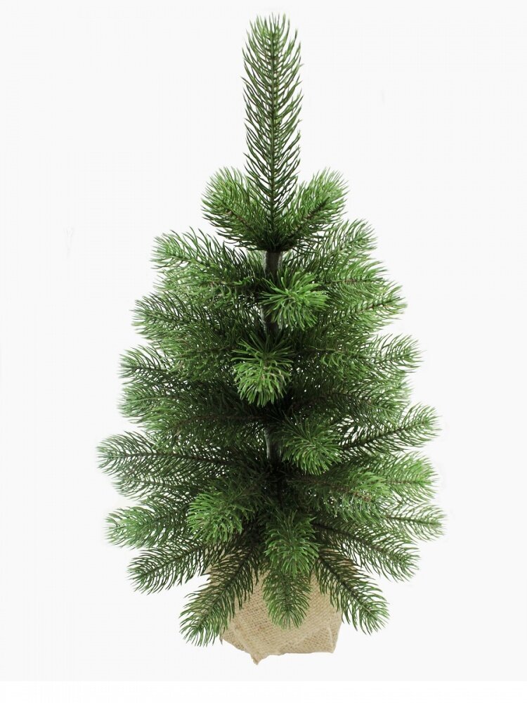 фото Ель Лира зеленая в мешке 0,45 м