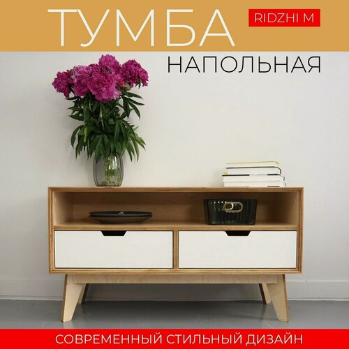 Изображение товара Тумба под телевизор АзбукаДекор "Риджи M", универсальная, 2 ящика, белая