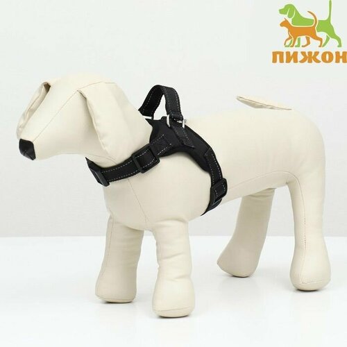 Шлейка мягкая со светоотражающими элементами размер XS чёрная 960₽