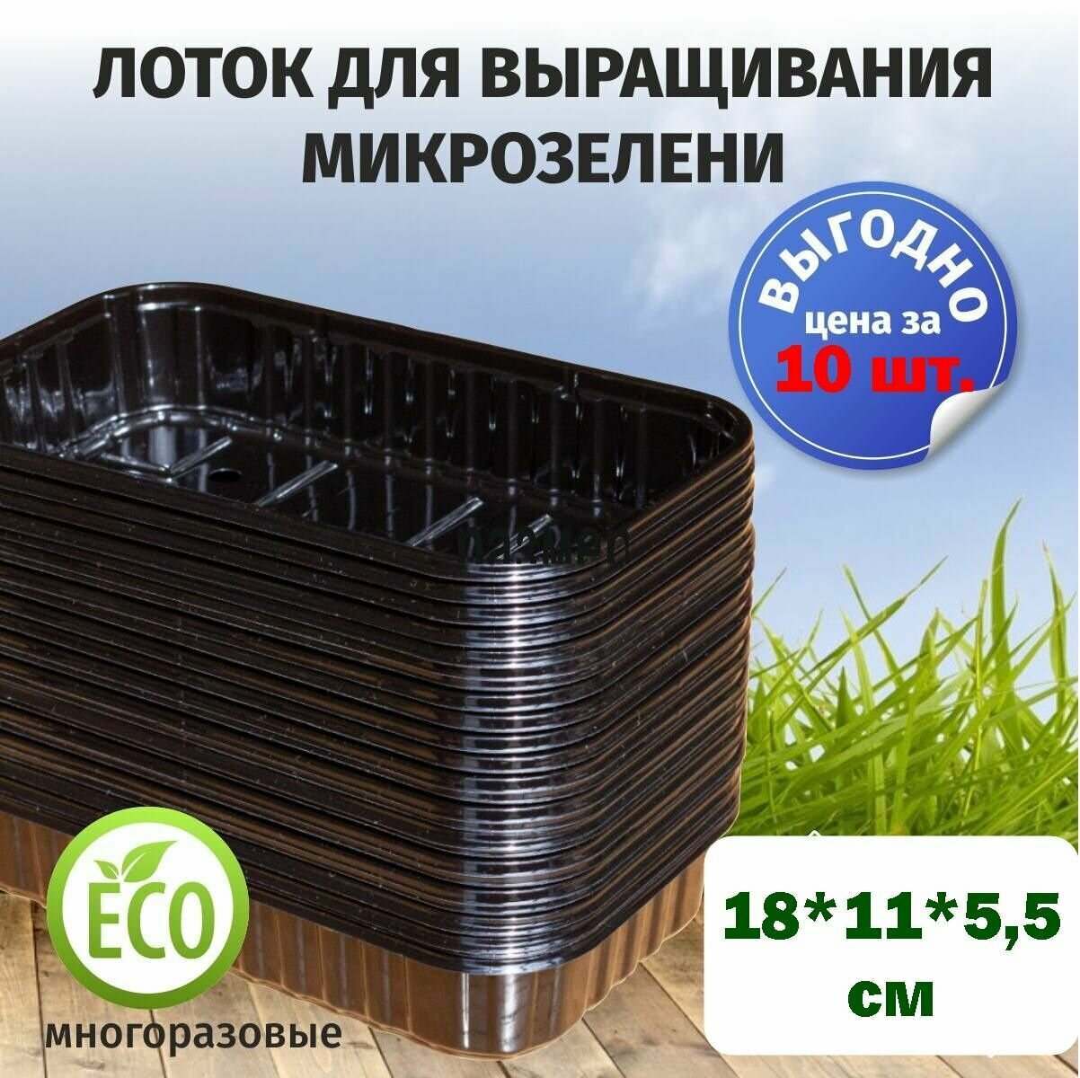 Лотки для выращивания свежей микрозелени черного цвета / 180*110*55 / 10 штук пластиковые контейнеры для проращивания рассады микрозелени