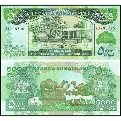 Банкнота Сомалиленд 5000 шиллингов 2011 UNC