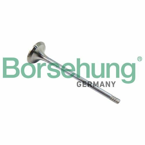 Выпускной клапан Borsehung B10321