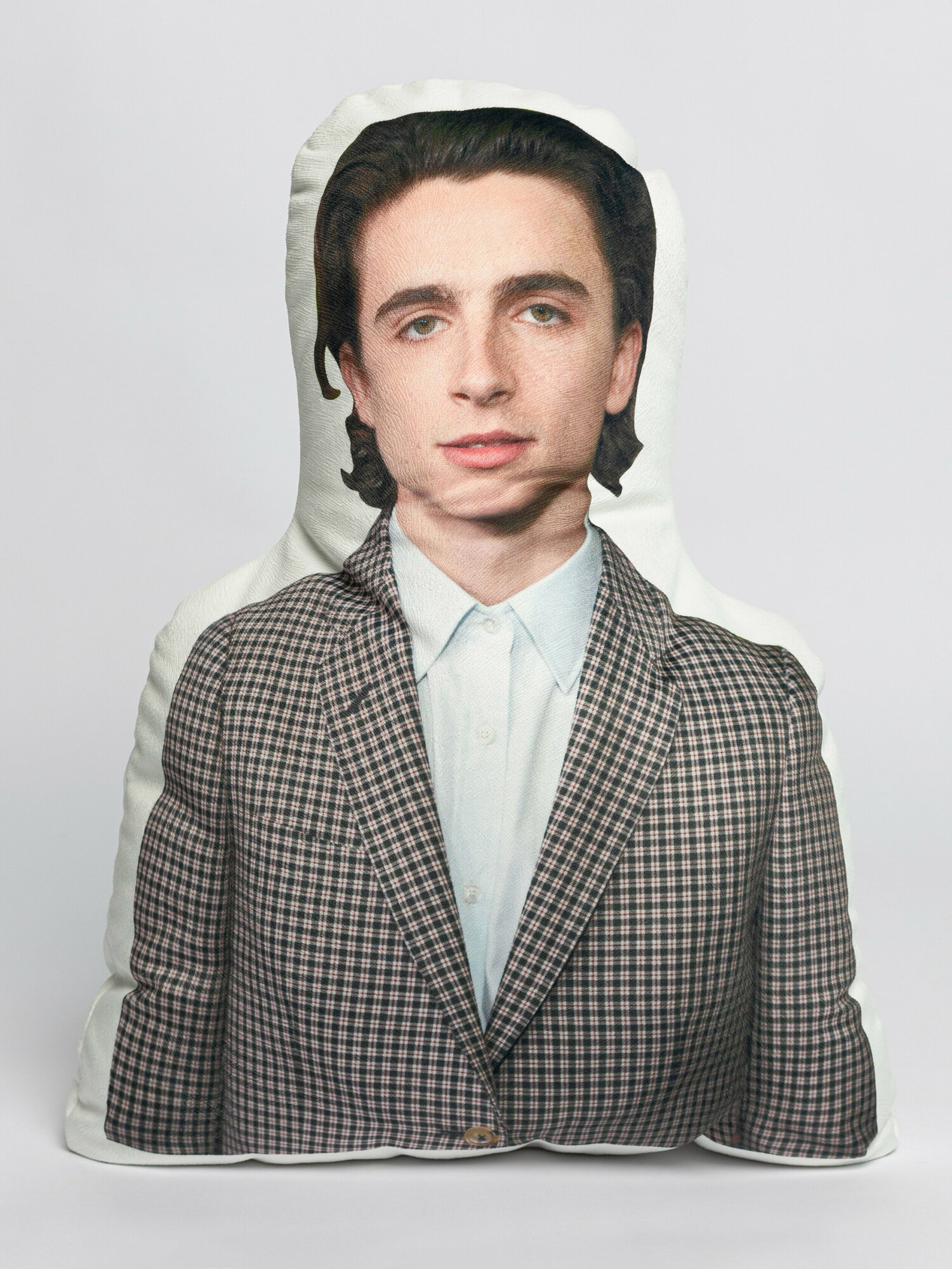 Подушка декоративная TIMOTHEE CHALAMET тимоти шаламе