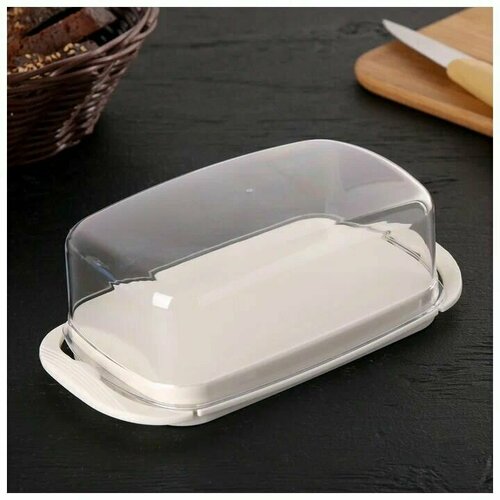 Масленка Пластик для сливочного масла 480₽