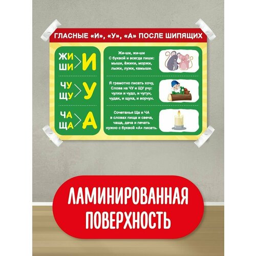 Обучающий плакат обучающий материал школьные плакаты гласные после шипящих 305₽