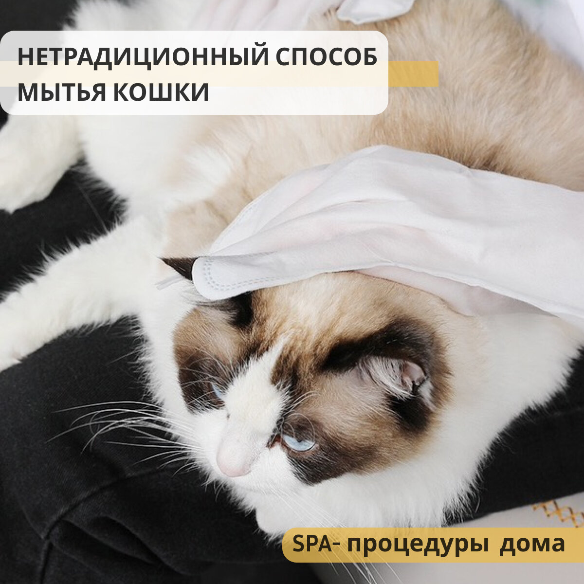 Влажные салфетки перчатки для собак и кошек 12шт - фотография № 5