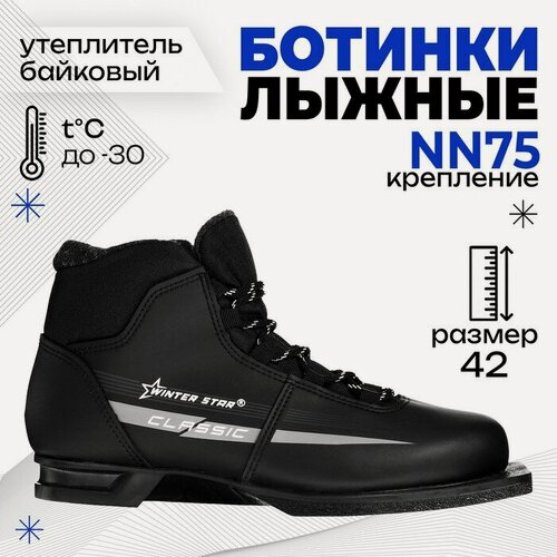 Изображение товара Ботинки лыжные Winter Star classic черный (лого серый) 75 р.42 9796053