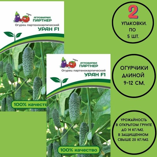 Семена огурцов: уран F1 (5ШТ)/ агрофирма партнер/ 2 упаковки по 5 семян