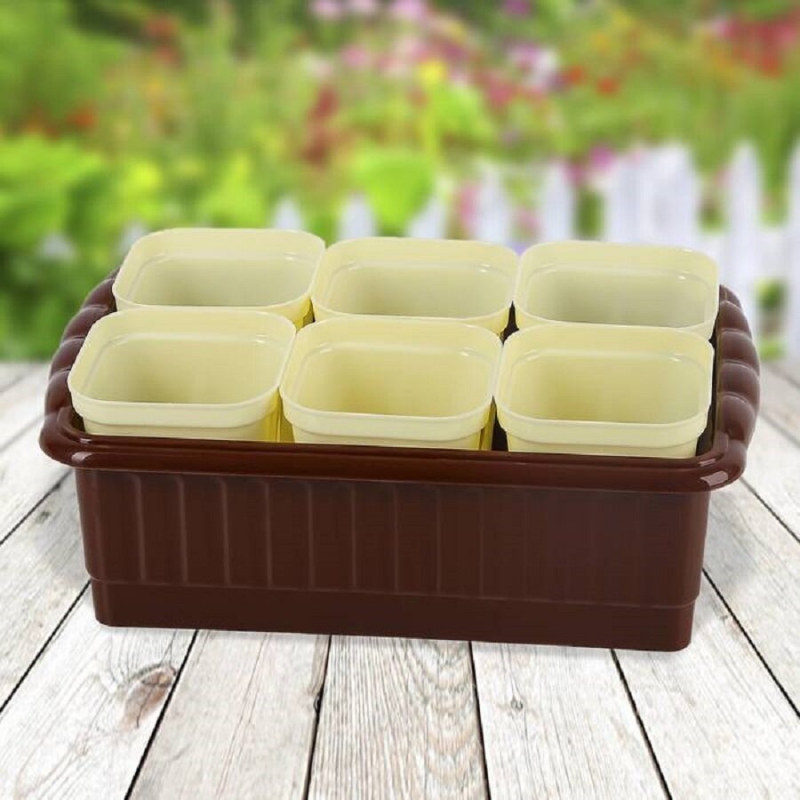 Горшочки для рассады со съемным дном на грубоком поддоне 250 мл набор 6 стаканчиков 247 х 166 см h 9 см пластик