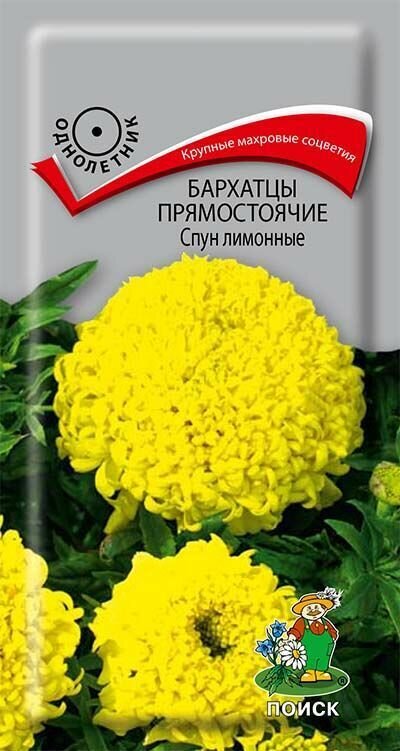 Семена Бархатцы прямостоячие Спун лимонные 01гр. Комплект из 3 пакетиков