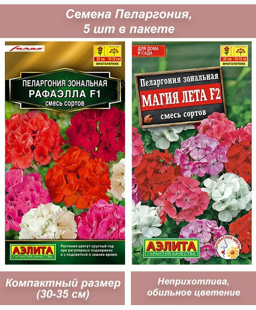 Семена комнатных цветов Пеларгония