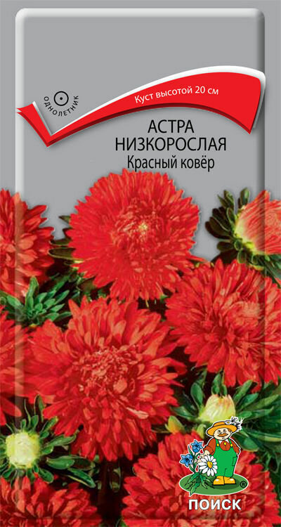 Семена Астра низкорослая Красный ковёр 02гр. Комплект из 3 пакетиков