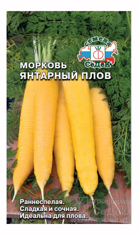 Морковь 