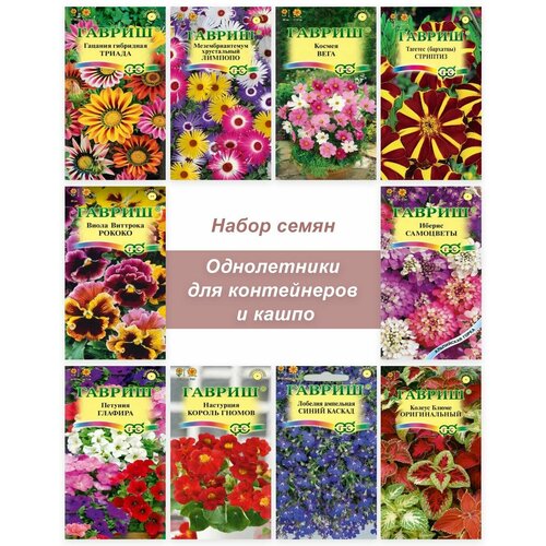 Семена однолетних цветов для контейнеров и кашпо семена однолетних цветов для контейнеров и кашпо