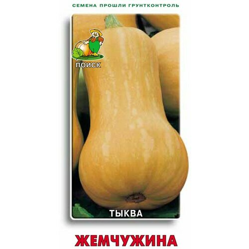 Тыква Поиск Жемчужина 10шт тыква жемчужина