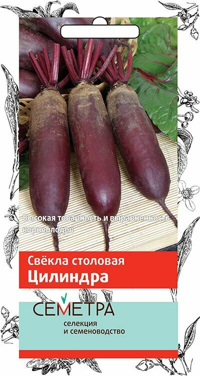 Свёкла "Поиск" Цилиндра 3г