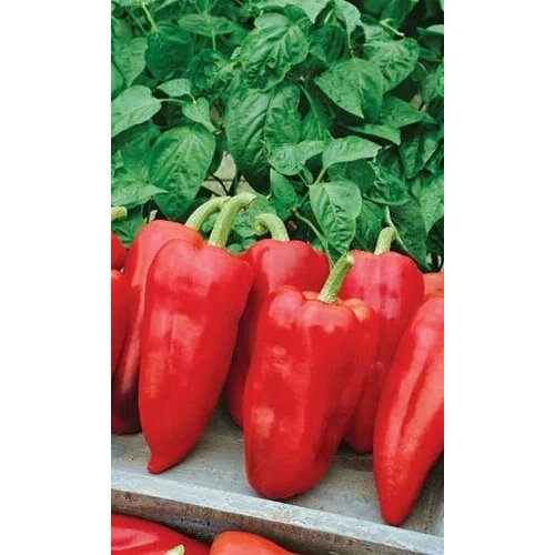 Перец сладкий Здоровье 0,2г Наш Сад