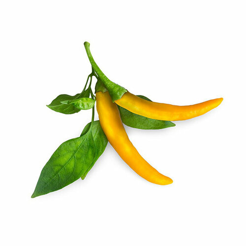 Click And Grow Комплект картриджей Click And Grow Yellow Chili Pepper 3 шт. для умного сада Click And Grow желтый перец чили