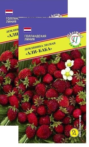 Семена Земляника Али-Баба 01 г (Голландия) (Престиж)  2 пакетика * 01 г . Подходит для выращивания в домашних условиях.