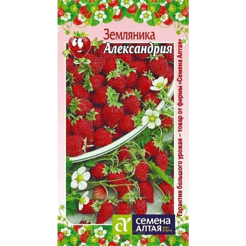 Семена Земляника Александрия 0,05 г (Семена Алтая) семена земляника александрия 0 05 г