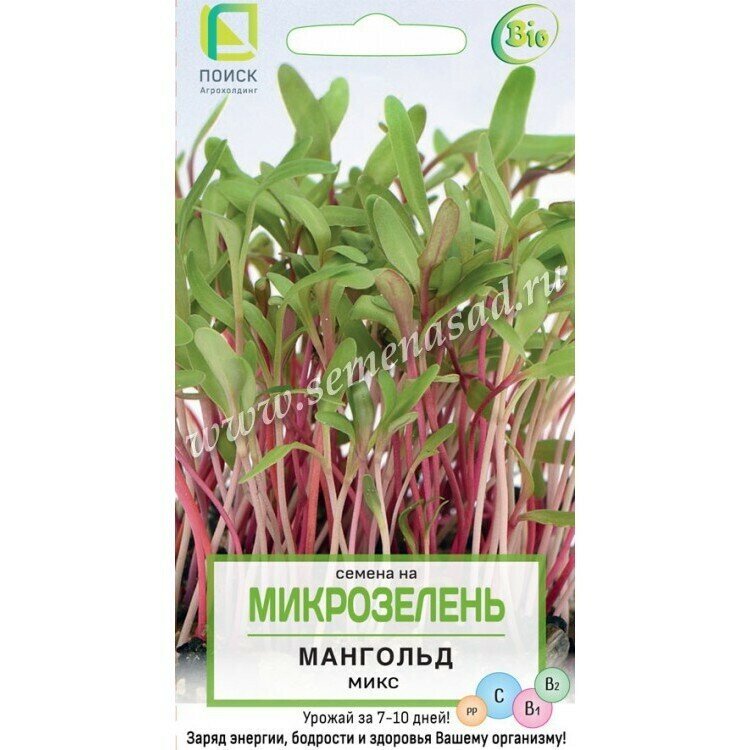 Микрозелень Мангольд Микс для выращивания на балконе или подоконнике 15г набор их 3 пакетиков по 5г (Поиск)