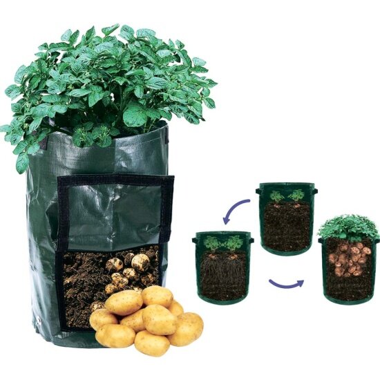 Мини-парник Вазон INBLOOM для выращивания растений на липучке 34х49см PE