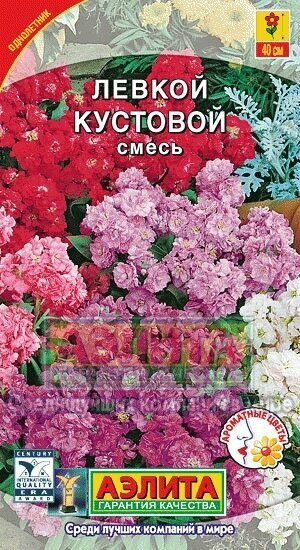 Семена Левкоя Кустового Аэлита смесь окрасок высота до 40см однолетние