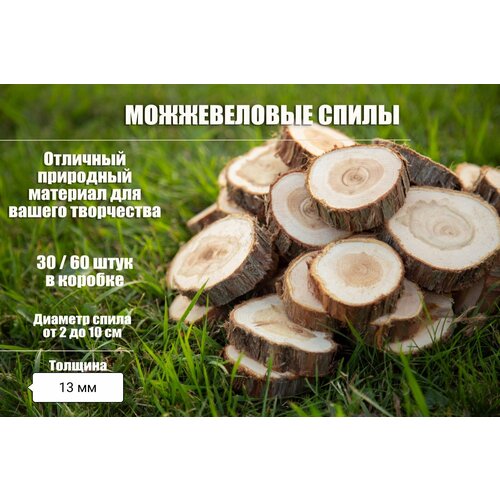 Спилы можжевельника 30 шт