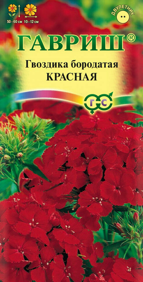 фото Гвоздика бородатая, Гавриш (турецкая) Красная 0,1г
