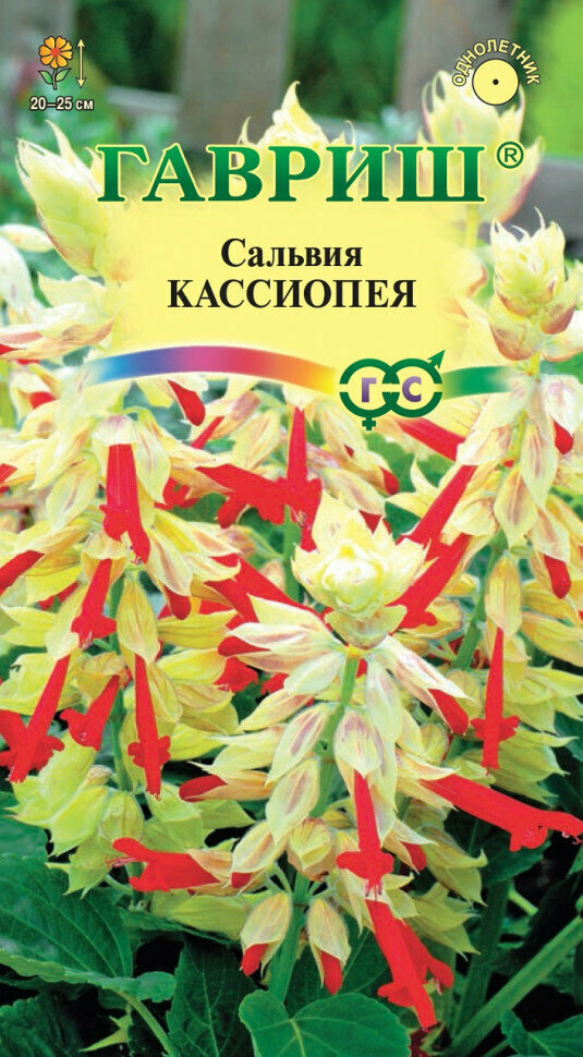 Гавриш Сальвия Кассиопея карликовая 4 семени