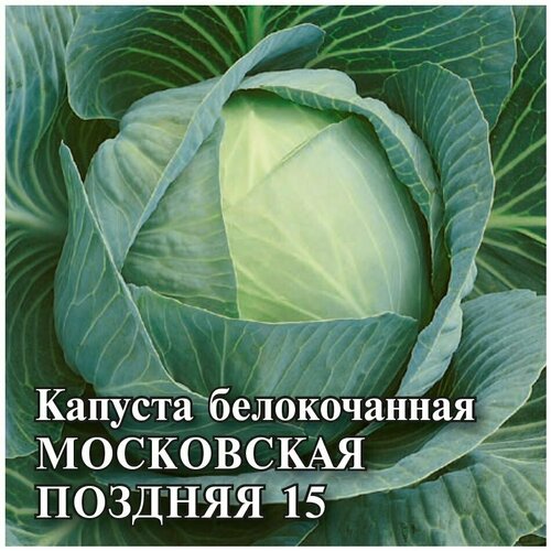 Гавриш, Семена для фермера Капуста белокочанная, Московская поздняя 25,0 грамм, (для квашения)