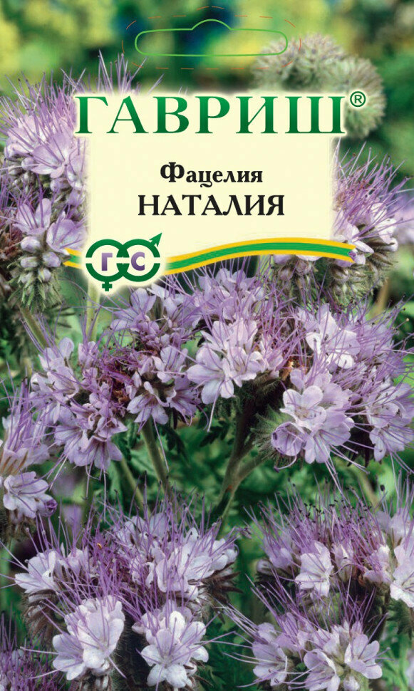 Фацелия Наталия, Гавриш (сидерат), большой пакет. 20 г