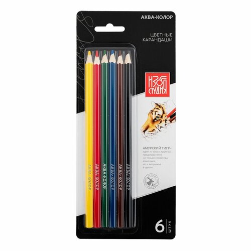 Цветные карандаши Аква-колор Изостудия, заточенные, 6 цветов, 10 шт (IZO-CP6B)