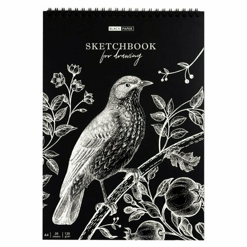 Скетчбук 20л, А4 ArtSpace Black line. Bird, на гребне, черный блок, 120г/м2, 315927 скетчбук умбрийская долина а4 20 листов