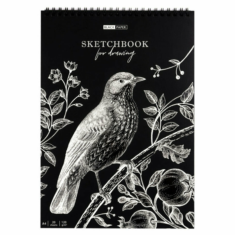 Скетчбук 20л, А4 ArtSpace "Black line. Bird", на гребне, черный блок, 120г/м2, 315927