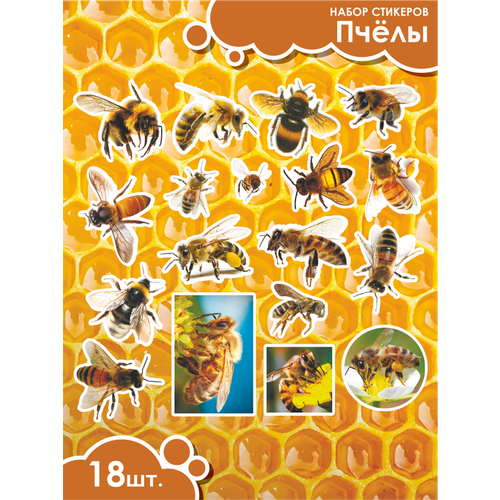Наклейки стикеры на телефон Пчелки Пчела Улей наклейки пчелки