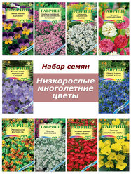Набор семян, семена низкорослых многолетних цветов - виола, гейхера, обриета, эдельвейс и др