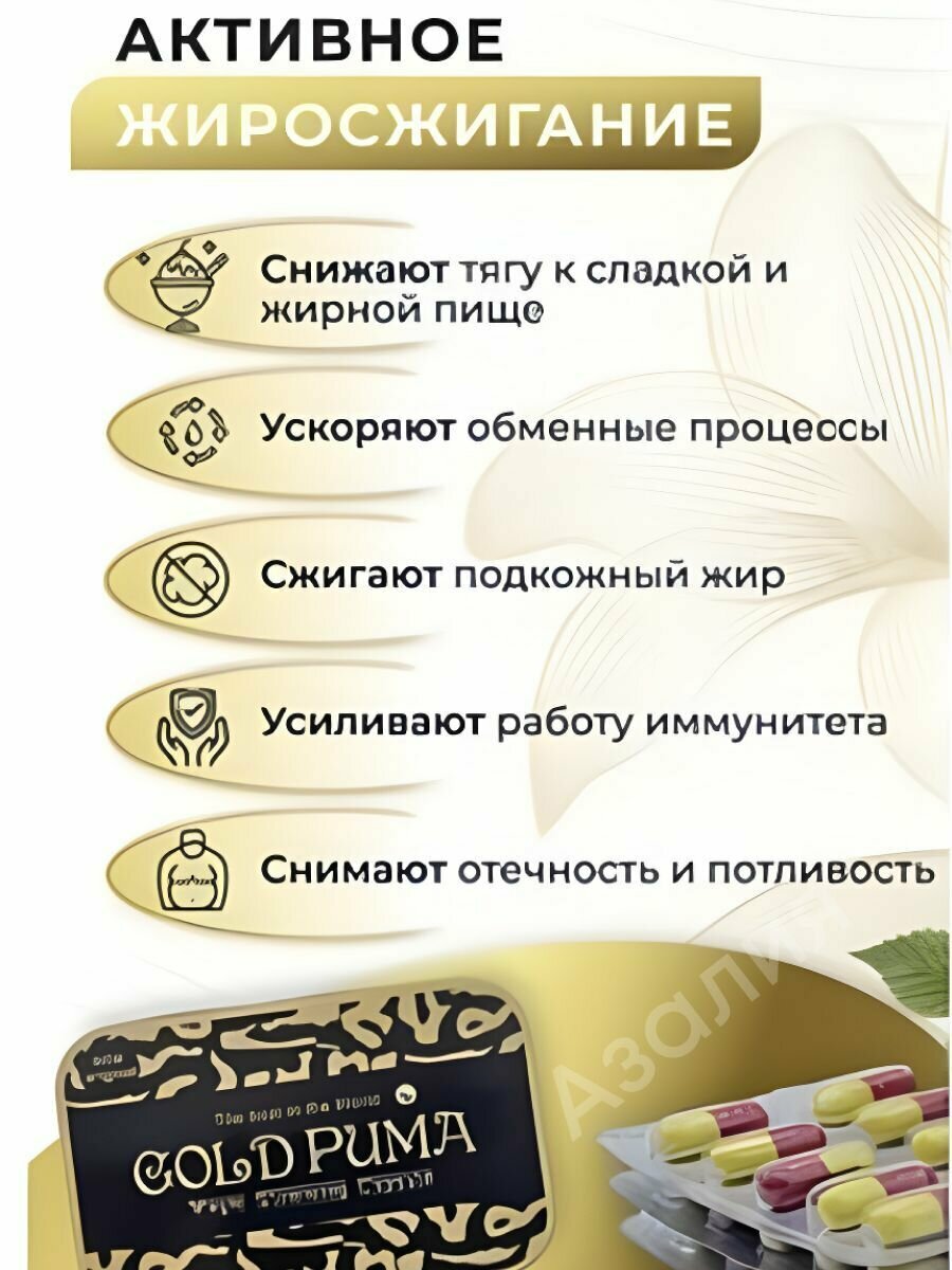 Gold Puma Капсулы жиросжигающие