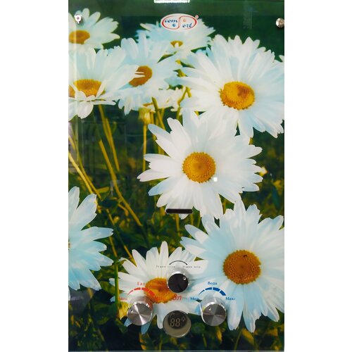 Газовый водонагреватель Умница OM-GА 08 ГКС-8лмин - ромашки 1374300₽