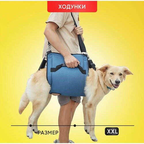 Ходунки, поддержка лап пожилых и травмированных собак. Размер XXL